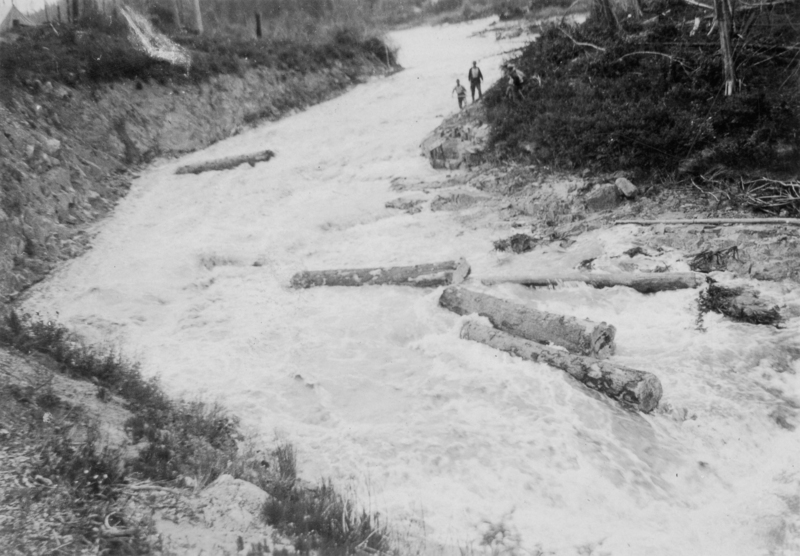 A fast-flowing river with several large logs floating down the current. On the right bank, a group of people are standing and observing the logs. The surrounding area has grassy and rocky terrain.