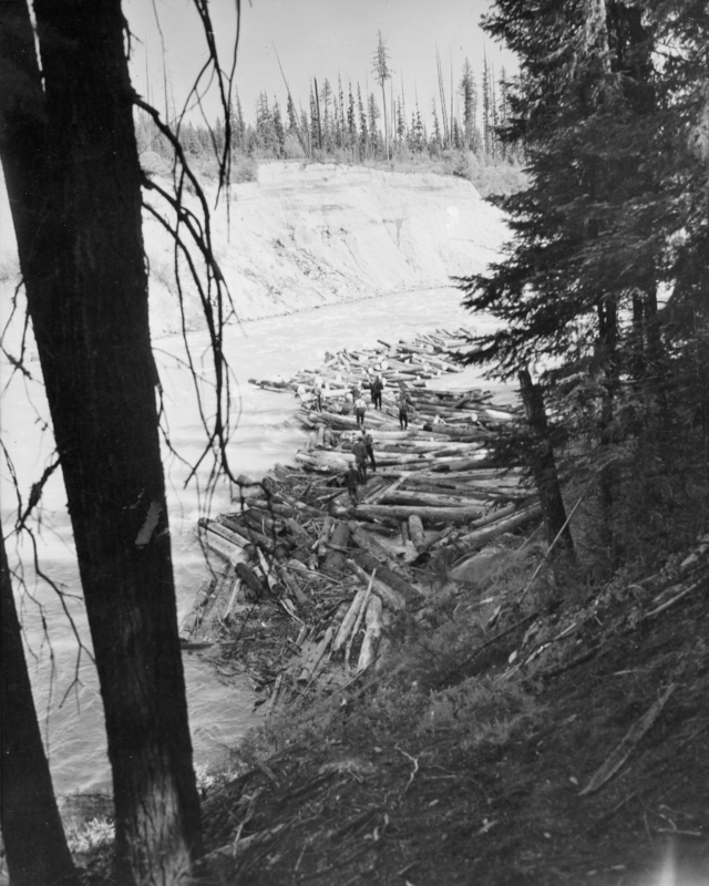 A group of people standing on logs in a river, surrounded by trees and a sloping riverbank.