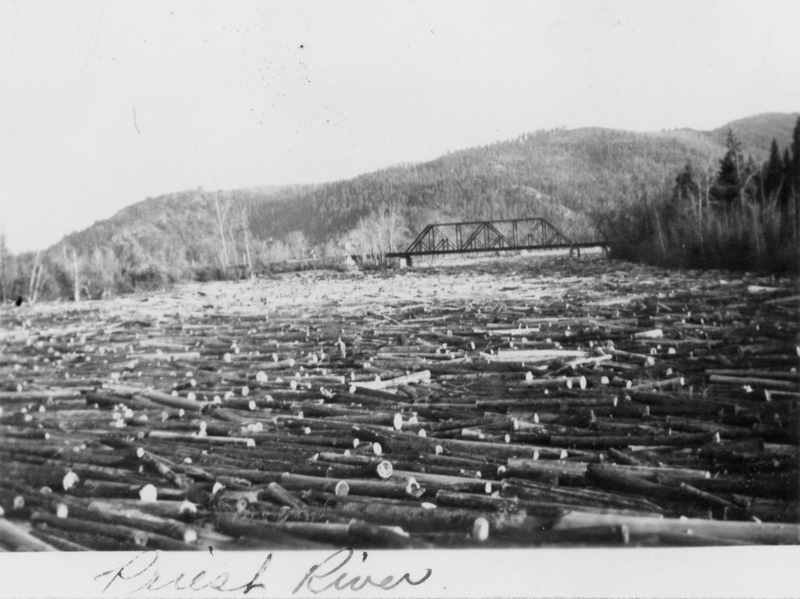 A large quantity of logs floating on a river with a bridge in the background. Hills and trees are visible in the distance. "Priest River" is handwritten at the bottom.