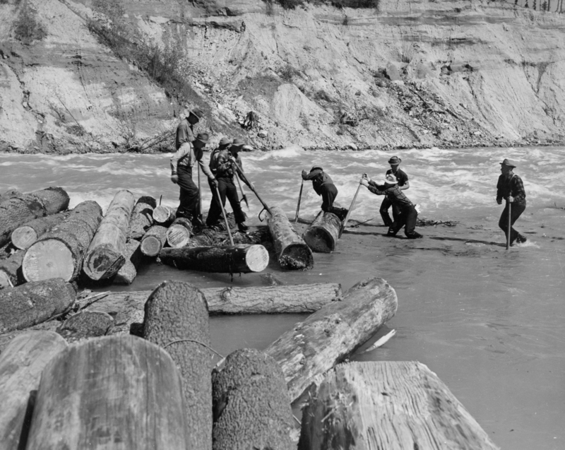 A group of people standing in a river, using long poles to maneuver large logs. The river runs through a rocky, barren landscape in the background.