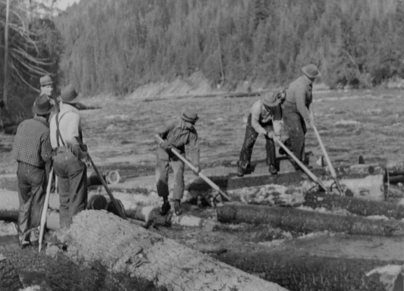 A group of men is standing on large logs in a river, using long poles to maneuver them. The background consists of a forested area with trees.