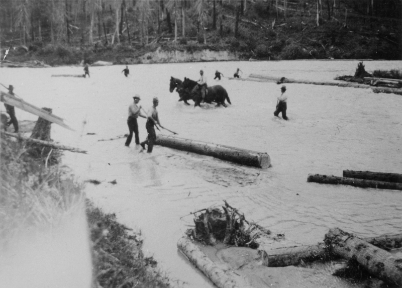 Several people wade through a river, managing logs, with at least two individuals riding horses. The scene is set in a forested area.