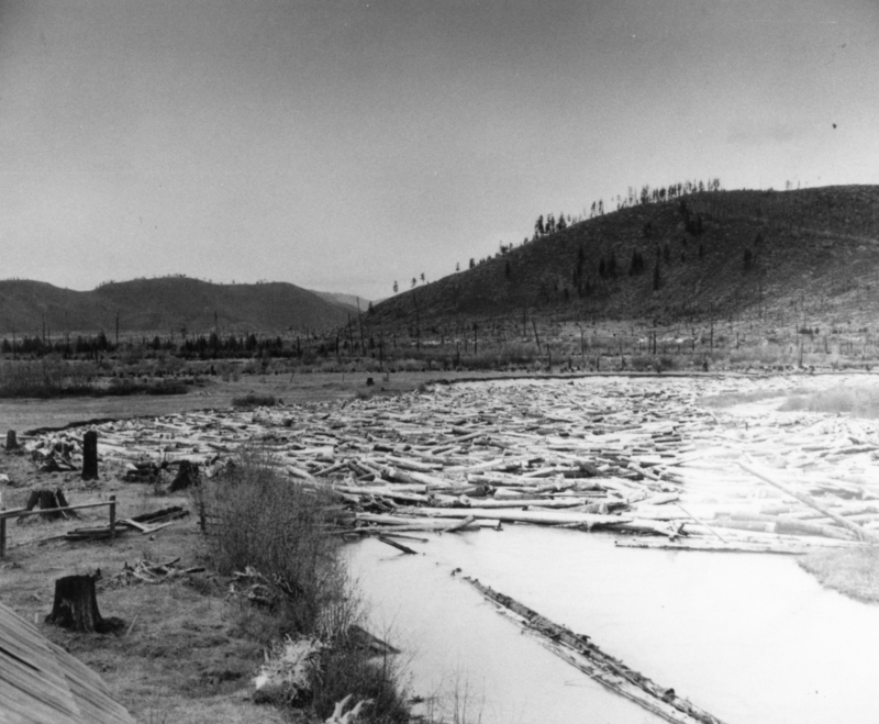 A landscape showing a river filled with numerous logs. The surrounding area features rolling hills with sparse vegetation and several tree stumps in the foreground. A fence and brush line the edge of the riverbank.