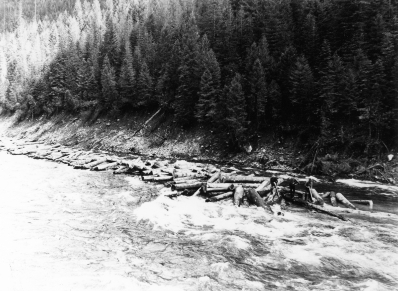 Logs floating down a river with a forested hillside in the background. Several people are standing on the logs along the riverbank.