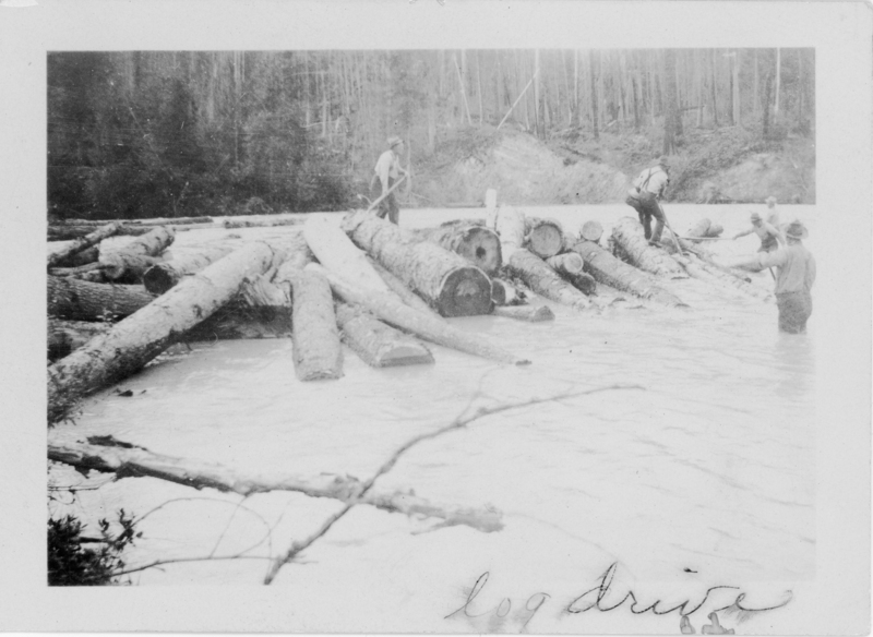 Several men standing in water guiding logs. Logs are piled in a waterway with a forested area in the background. The handwritten text at the bottom right reads "log drive".