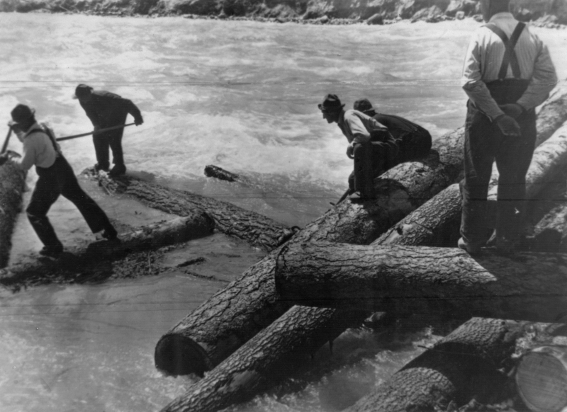 Men standing on logs floating in a river, using poles to maneuver them.