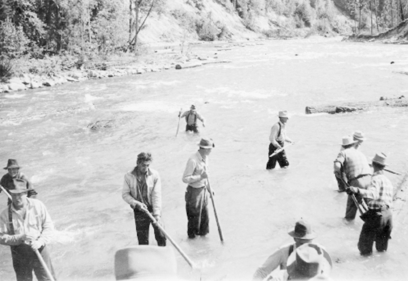 A group of men standing in a river, each holding long poles. They appear to be working together, with trees and a hillside in the background.