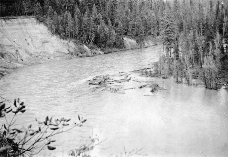 A river bordered by a forest on one side and a cliff on the other. Logs are floating on the water.