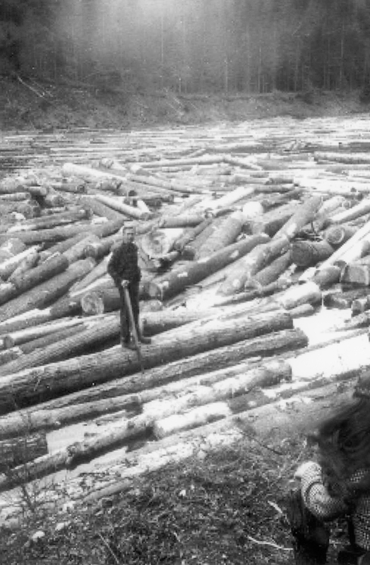 A person standing on a large pile of logs near a river or body of water, surrounded by a wooded area in the background. Another person is partially visible in the foreground.