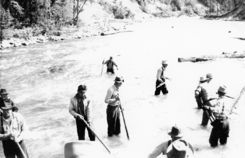 Several men standing in a river, each holding a long pole, working amidst flowing water with trees lining the riverbank in the background.