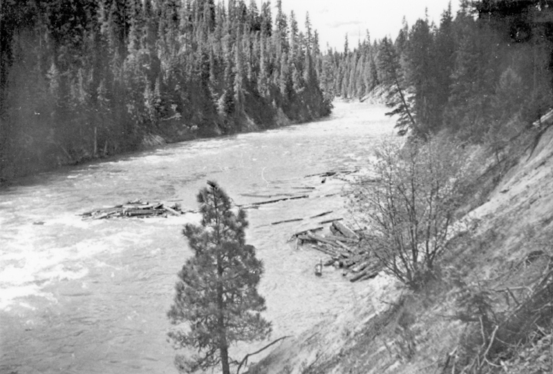 A river flowing through a forested area with some logs floating on the water. Trees line both sides of the river, and a steep hillside is visible in the foreground.
