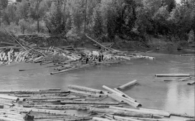 Logs floating in a river with a forested bank in the background. A few people stand among the logs near the riverbank, appearing to manage or work with the logs.