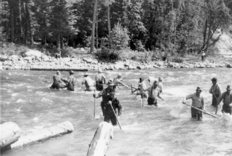 A group of people wading through a river holding peavey to guide logs in the water.
