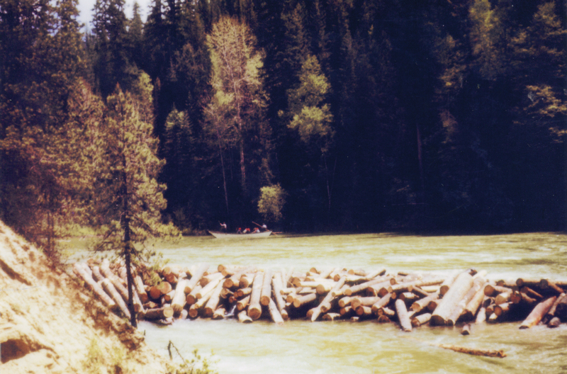 A pile of logs floating on a river, with a small boat carrying several people in the background near a densely forested area.
