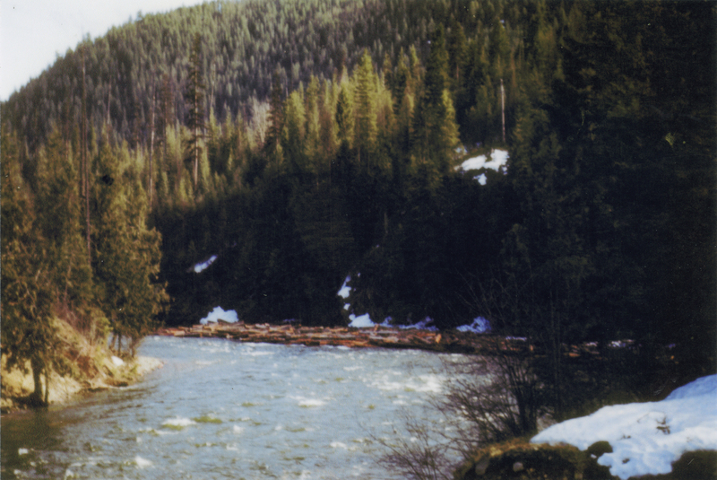 A river flowing through a forested landscape with pine trees and patches of snow on the ground.