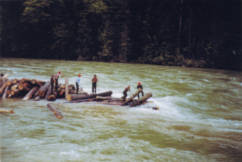 Five people wearing hats and outdoor clothing are standing on logs floating in a river, with a dense forest in the background.