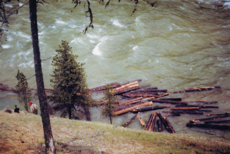 Two people standing on a grassy slope near a river, with logs floating in the water below. Trees are visible on the hillside.