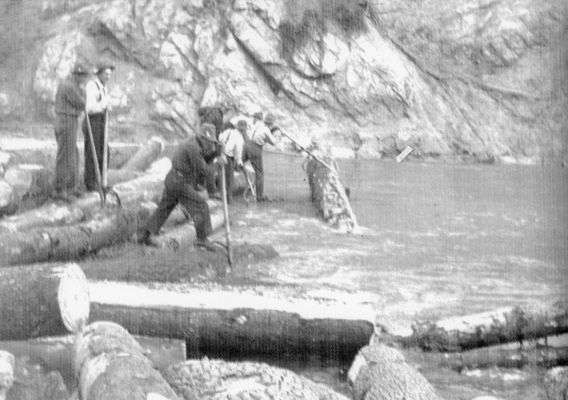 Several people are working on moving logs in a river. They are using long poles to guide the logs. The terrain around them is rocky.