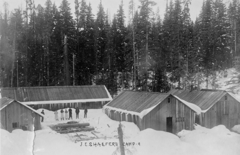 Several wooden cabins are situated in a snowy forest. A group of people stand in front of the cabins, and large trees fill the background. The ground is covered with snow and a few logs are visible.
