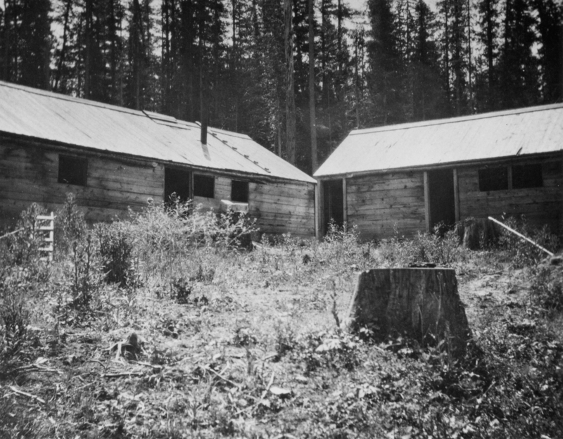 Two wooden buildings with metal roofs are situated in a clearing surrounded by trees. The ground is covered in vegetation and an old tree stump is visible in the foreground. There is an empty chair near one of the buildings.