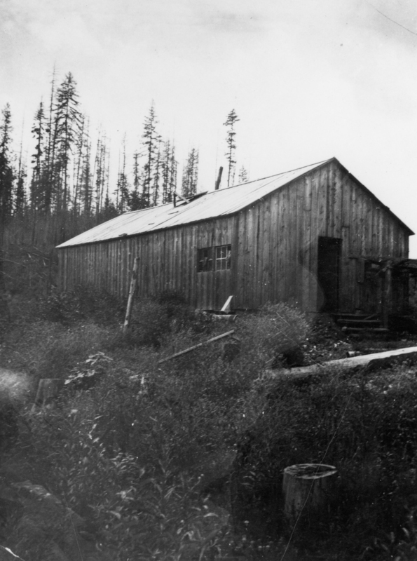 A wooden building with a slanted roof surrounded by tall grass and a few small trees. In the background, there are taller trees with sparse branches. There is a partially open door on the building and a small window. Some logs and a barrel are scattered around the grassy area.