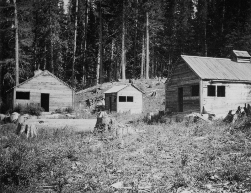 Three wooden buildings are situated in a forested area. The structures are simple and surrounded by trees and some cut logs. In the foreground, there are stumps and grass.