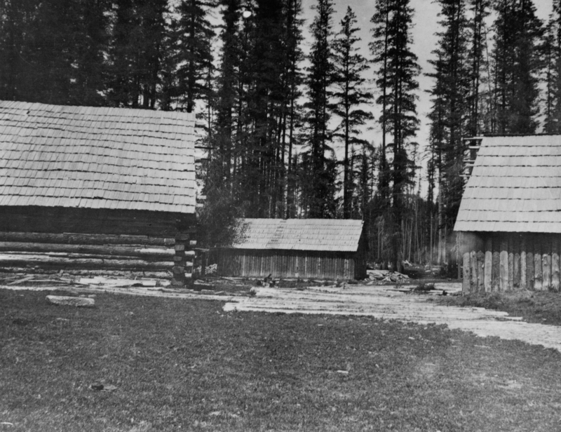 A group of wooden log buildings with sloped roofs is situated in a clearing surrounded by tall trees. There is grass in the foreground.
