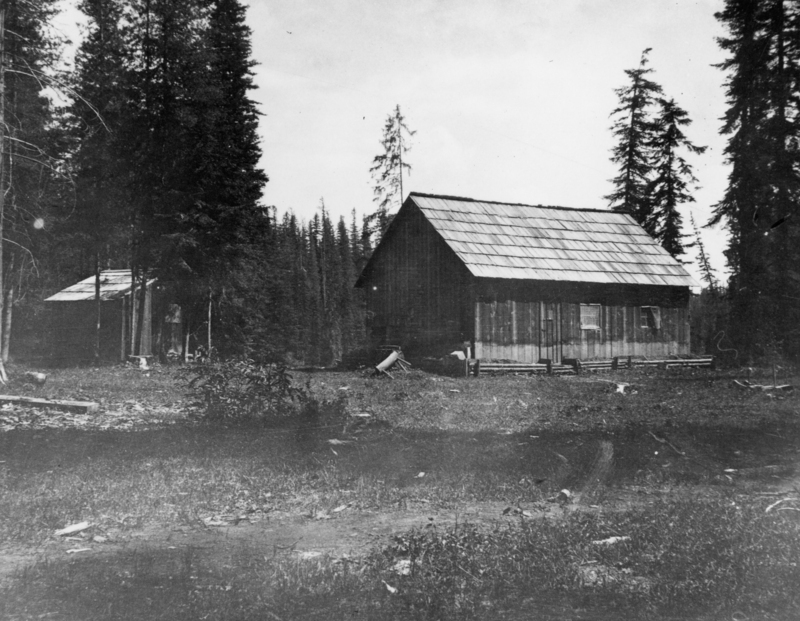 A rustic cabin with a sloped roof in a forested area, surrounded by tall trees. A smaller structure is visible in the background among the trees. The ground is grassy with some scattered logs and debris.