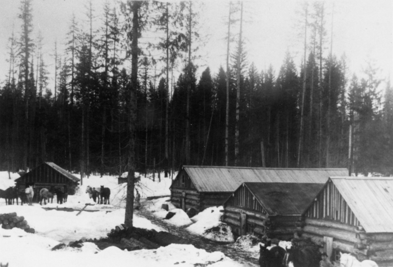A series of log buildings surrounded by snow, with a small group of horses standing nearby in a forested area with tall trees.