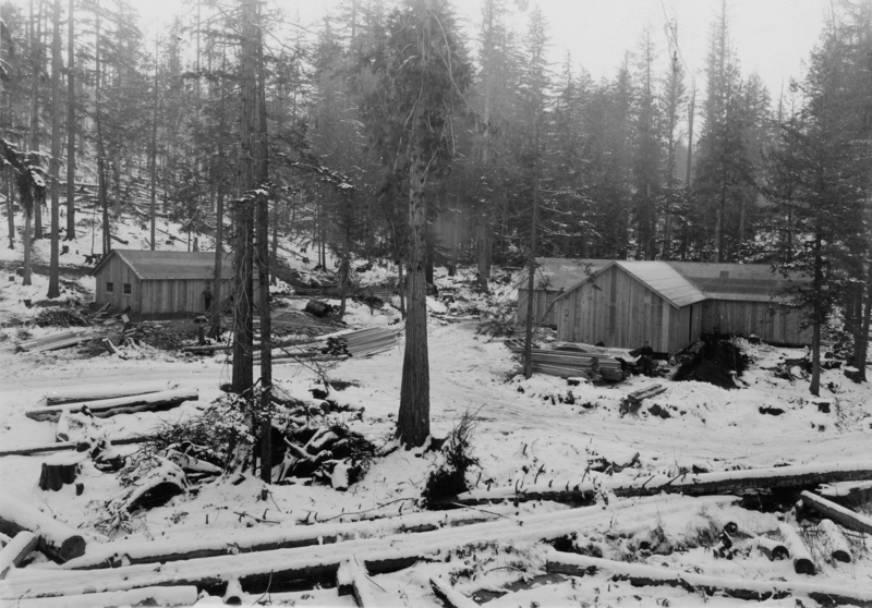 Two wooden cabins surrounded by a snowy forest landscape. Logs and piles of timber are scattered on the ground. Tall trees stand around the scene, partially covered in snow.