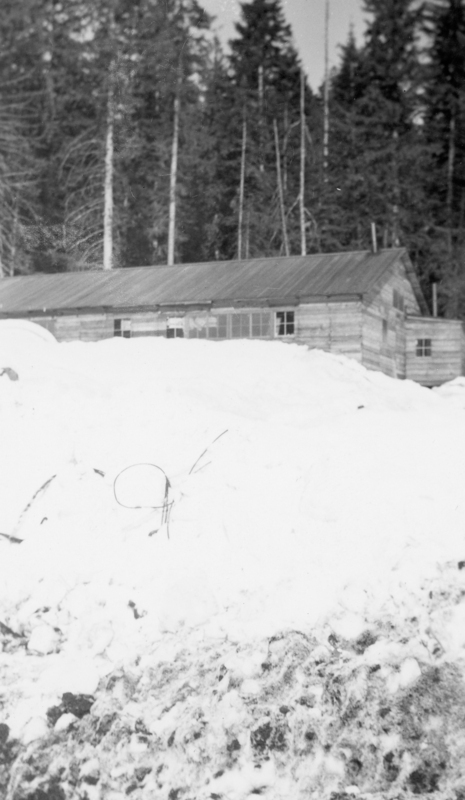 A wooden cabin partially buried in snow, surrounded by tall trees in a forest setting.