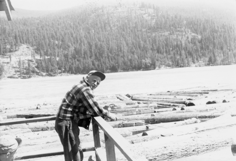 A man wearing a plaid shirt and cap leans on a railing, overlooking a river filled with floating logs. In the background, a forested hillside is visible.