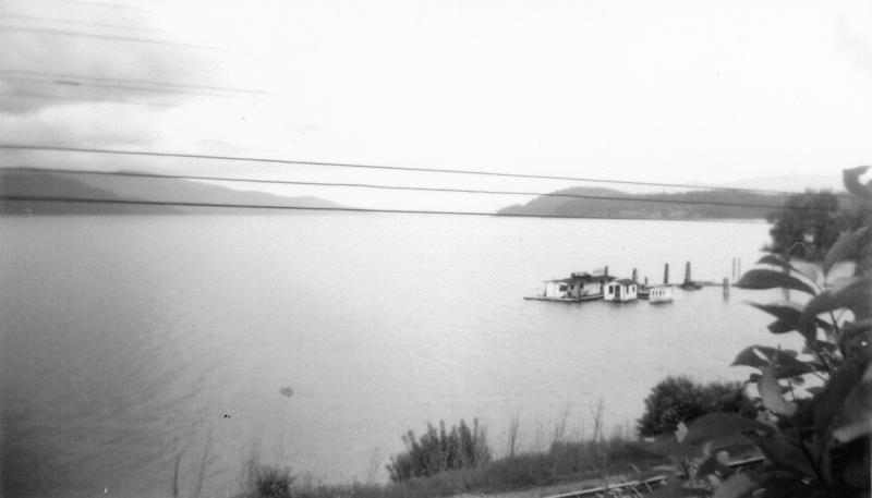 Floating structure on a calm body of water with a few boats moored. Hills are visible in the distance, and there are plants and trees in the foreground. Power lines stretch across the scene.