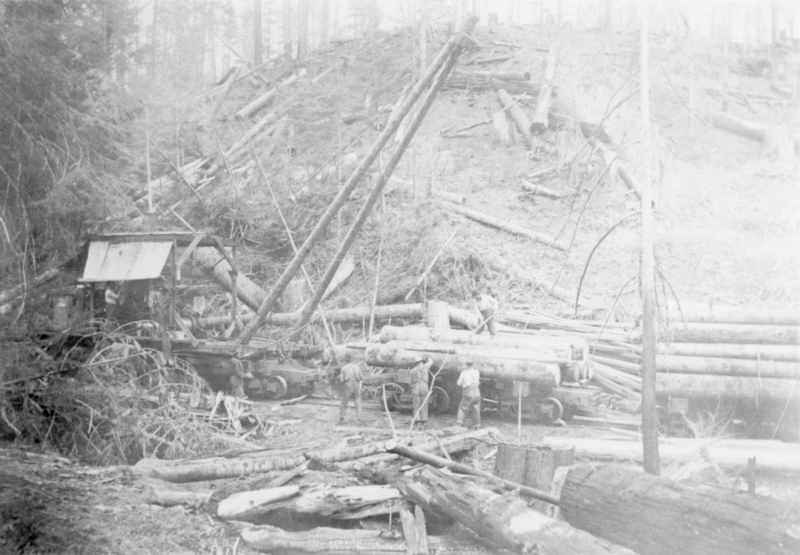 Several workers are in a forested area engaged in logging activity. Logs are scattered across the ground and stacked on a rail car. A small structure with a roof is visible to the left, and the area is surrounded by trees and cut logs. A person can be seen operating machinery.