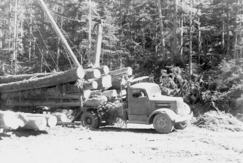 A truck parked in a forest with a load of large logs stacked on its trailer. The surrounding area is densely wooded.