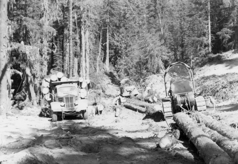 A logging scene in a forest with heavy machinery. A truck loaded with logs is on a dirt path, and a person is standing nearby. Logs are being pulled by a tractor equipped with a winch. Tall trees and dense foliage surround the area.