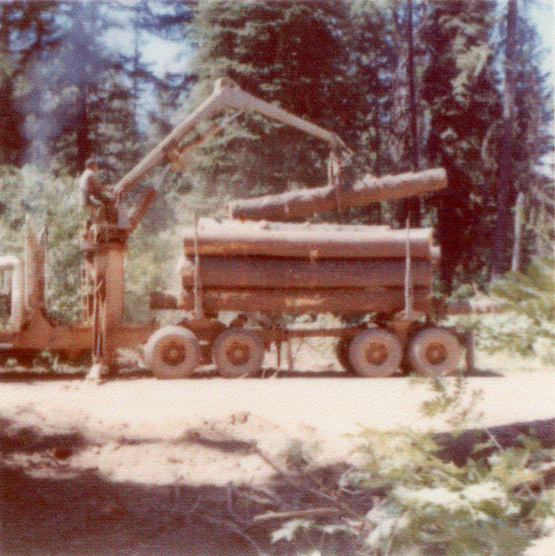 A logging truck with several large logs is parked in a forested area. A crane attached to the truck is lifting a log. Tall trees surround the vehicle.
