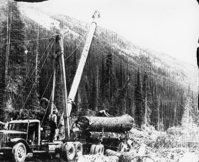 A man stands on a truck bed equipped with a boom used for lifting logs. A large log rests on the vehicle. The scene is set in a forested area with tall trees and mountainous terrain in the background.