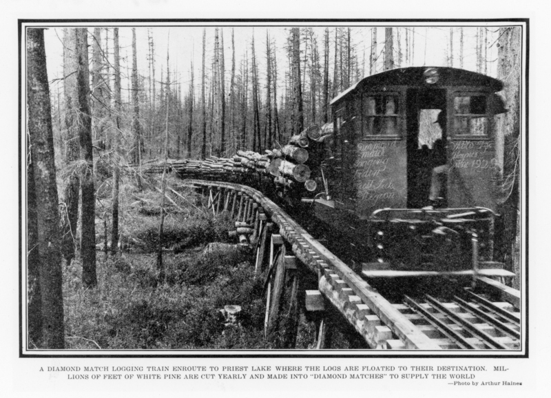 A train carrying logs travels on a wooden track through a forest with tall, slender trees. The forest is dense, and the train is in motion, moving away from the viewer. The ground is covered with underbrush and small plants. Text reads: "A DIAMOND MATCH LOGGING TRAIN ENROUTE TO PRIEST LAKE WHERE THE LOGS ARE FLOATED TO THEIR DESTINATION. MILLIONS OF FEET OF WHITE PINE ARE CUT YEARLY AND MADE INTO “DIAMOND MATCHES” TO SUPPLY THE WORLD —Photo by Arthur Haines." Handwritten Text on Train: "Diamond Match Logging Train Priest Lake Region", 1929.