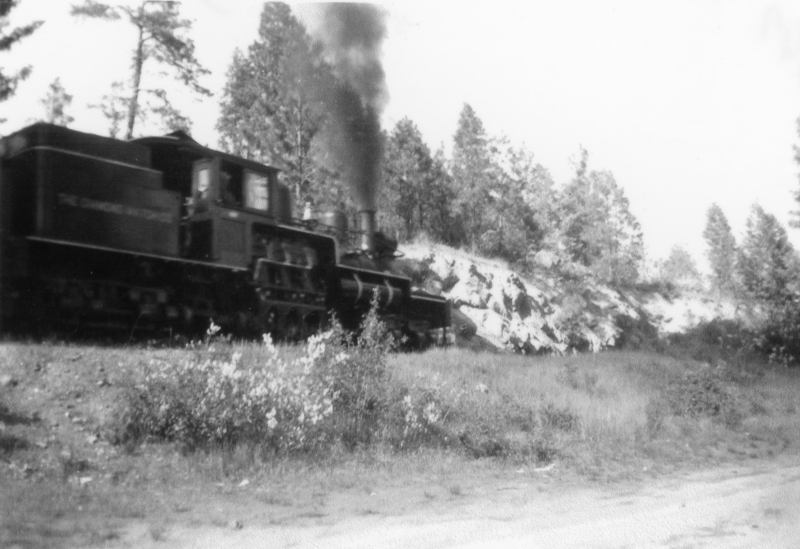 A steam locomotive traveling on tracks through a wooded area with smoke billowing from its chimney. Trees and rocky terrain are visible in the background, with some vegetation in the foreground.