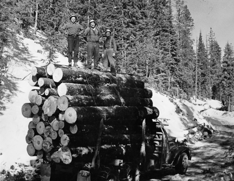 Three people standing on top of a large pile of logs loaded onto a truck, surrounded by snow and trees.