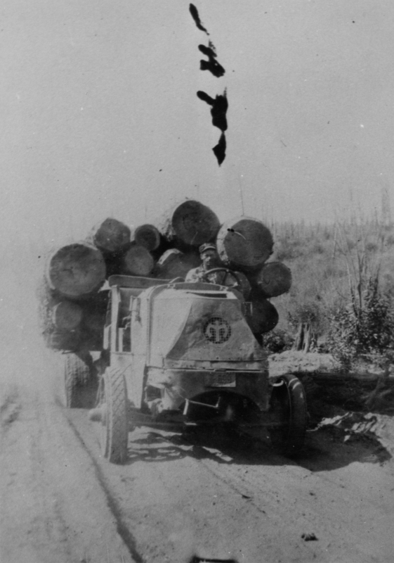 A truck loaded with large logs being driven along a dirt road. Tall trees and brush line the sides of the road.