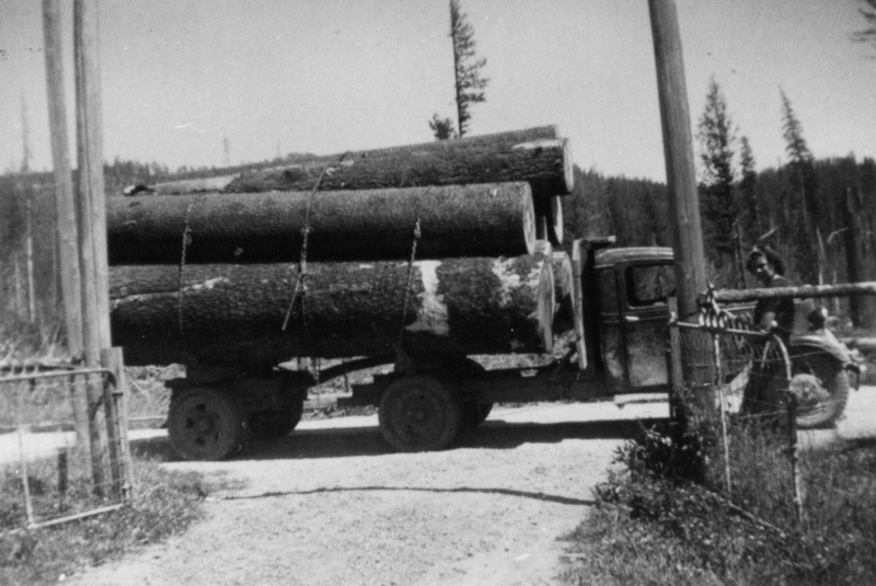 A truck loaded with large logs is parked on a dirt road. A person is standing next to a bicycle near a gate. The background features trees and open landscape.