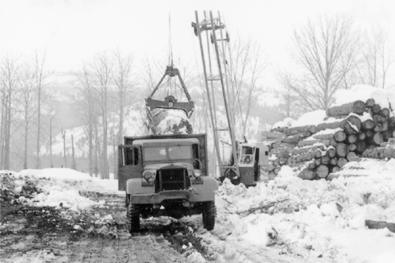A truck is parked on a snowy path in front of a pile of logs. A crane is lifting a large log onto the truck. Bare trees and snow-covered hills are in the background.