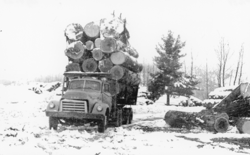 A truck loaded with large logs in a snowy, forested area. There are trees and more cut logs scattered around the ground.