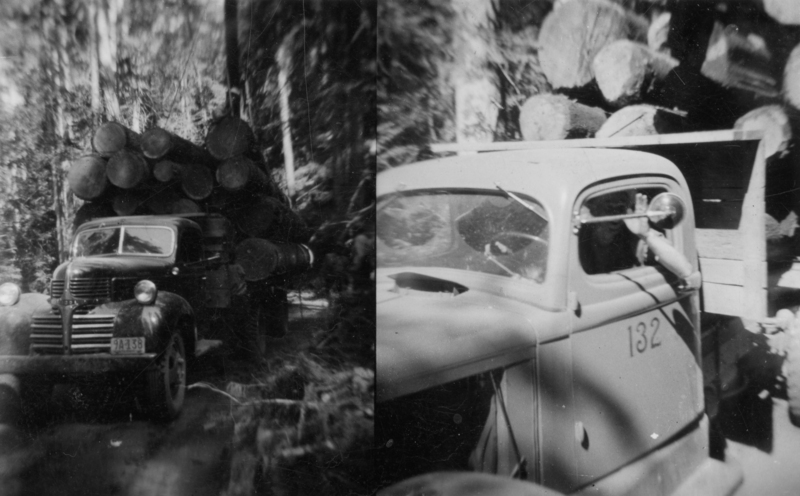 Two images show views of a logging truck in a forest. The left image features the truck loaded with large logs, driving along a forest path. The right image shows a close-up of the cab, with a person inside, extending an arm out of the window. License plate on the truck in the left side of the image reads "9A1 38". The number on the door of the truck in the right side of the image reads "132".