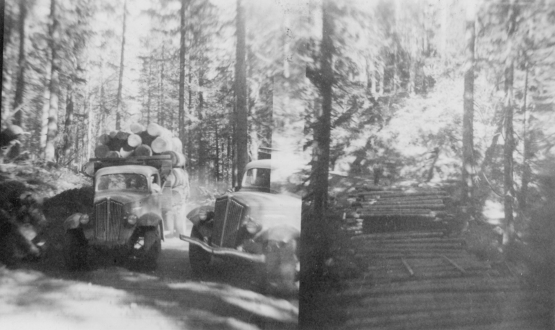 Two images show views of forest logging. The left image features two trucks loaded with large logs, driving along a forest path. The right image shows a pile of timber.