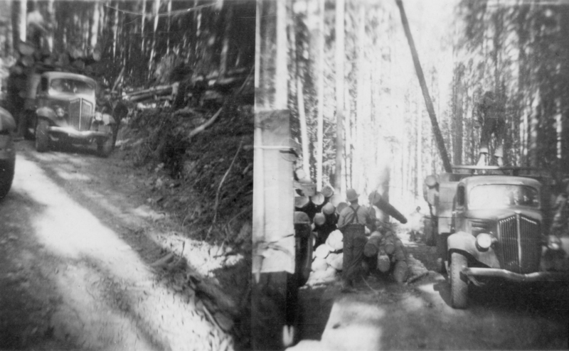 Two separate scenes show logging activities in a forest. On the left, an older model truck is on a dirt road with trees and cut logs nearby. On the right, another truck is parked next to a stack of logs, with two men working beside it. The background is densely wooded.