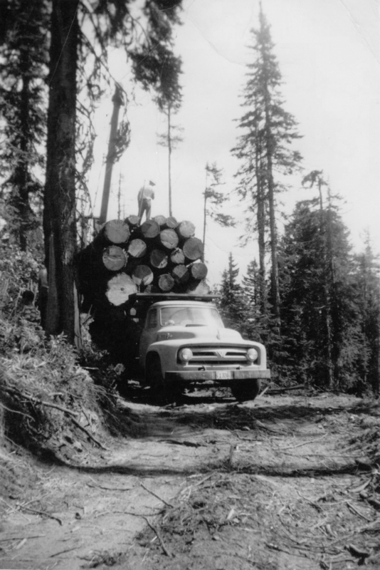 A truck loaded with large logs parked on a forested path, with a person standing on top of the logs. Trees are visible around the area. The license plate on the truck near the bottom center reads “13-241.”