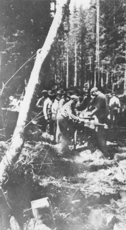 A group of people standing in a forest, some wearing hats and working together, possibly with tools or equipment. A diagonal tree trunk is visible in the foreground.